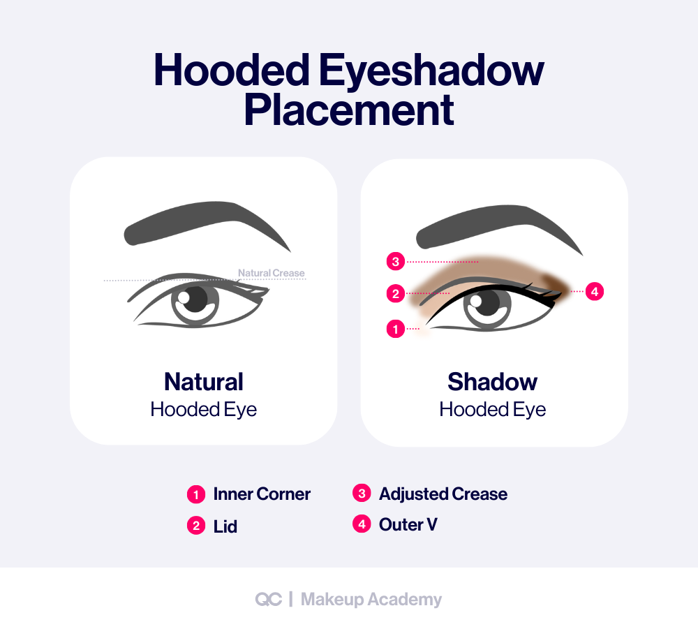 Step by step eyeshadow guide for hooded eyes showing how to apply eyeshadow on the inner corner, lid, adjusted crease, and outer V zone.