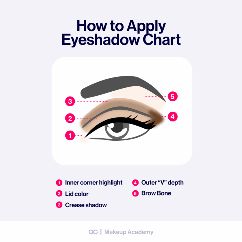 how to apply eyeshadow diagram make~up jungle: eye... Eye Shadow Looks: Step-by-Step Guide for Stunning Eye Makeup - QC ...
