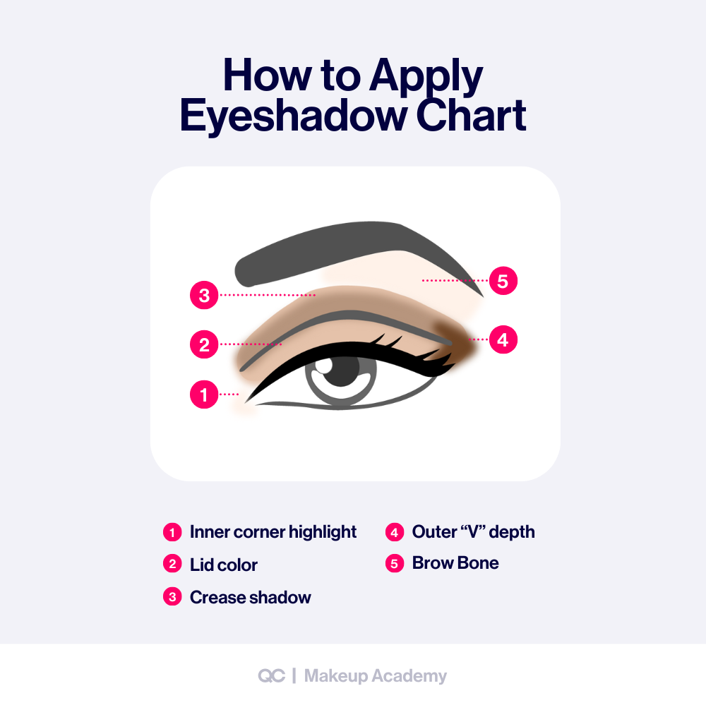 Step by step eyeshadow chart showing how to apply eyeshadow with inner corner highlight, lid color, crease shadow, outer V depth, and brow bone.