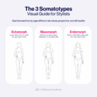 Sideshow Body Types Classifying Body Types: A Complete Guide for Personal Stylists - QC ...