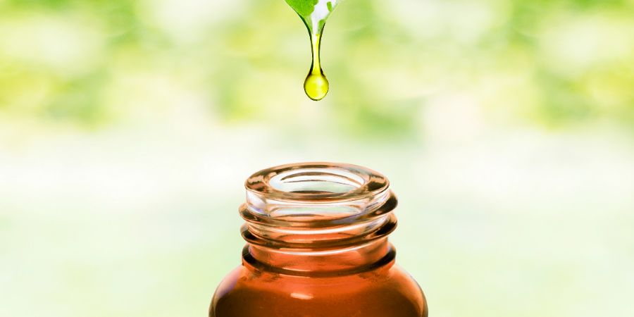 Herbal essence. Alternative healthy medicine. Skin care. Essential oil or water dropping from fresh leaf to the bottle.